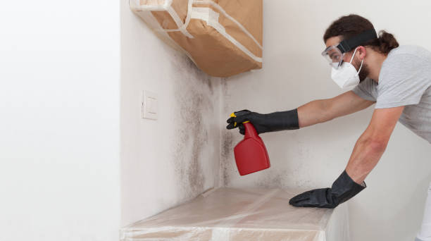 Professional Mold Removal technician working in Newport, OR
